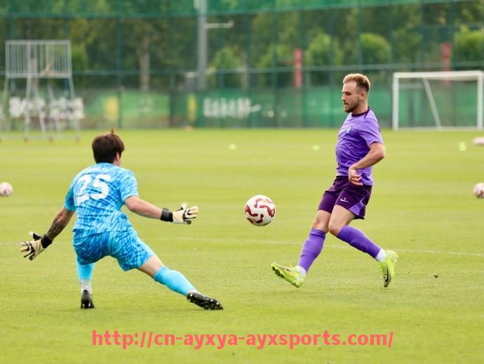 爱游戏体育-2024年法甲外援比赛数据回顾及综合表现分析报告