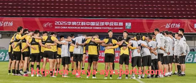 爱游戏体育-法甲失球率分析：防守弱点及改进策略全面探讨