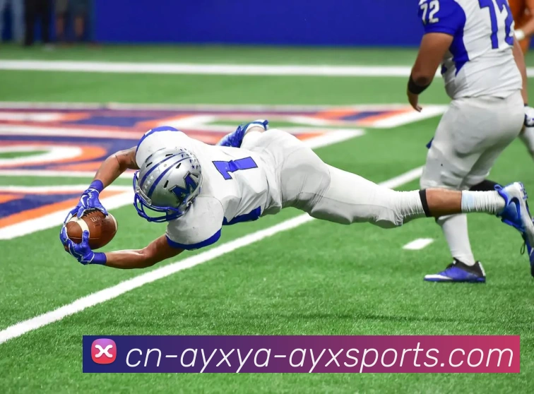 爱游戏APP 封面图